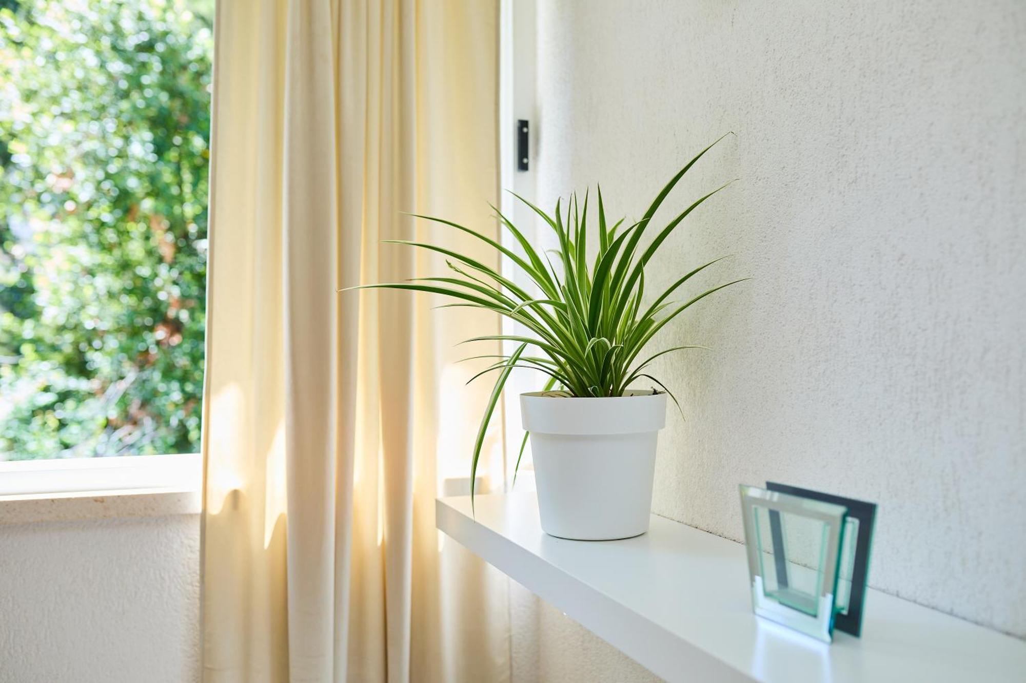 Apartment Promenada- 4Pax With Parking Dubrovník Exteriér fotografie